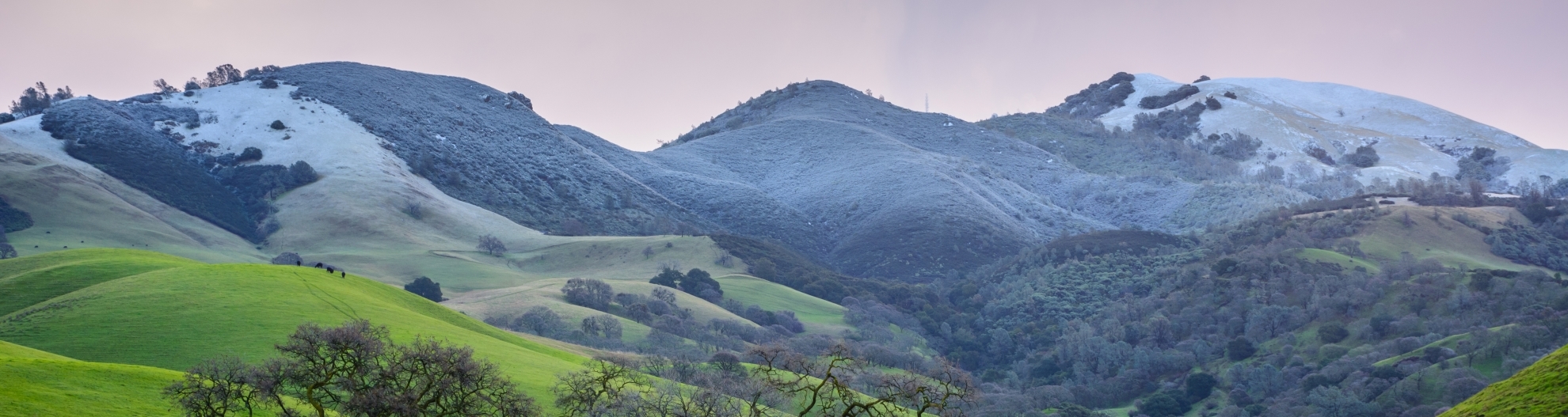 Light Snowfall on Mount Diablo California