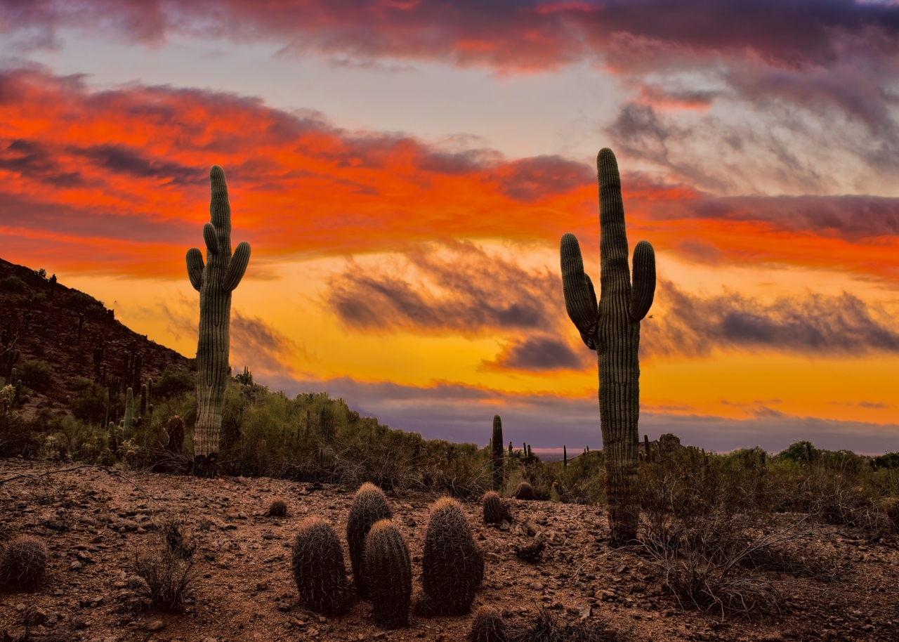 Desert Sunset